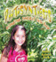 Photosynthesis: Changing Sunlight Into Food (Nature's Changes)