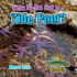 What Do You Find in a Tide Pool? (Ecosystems Close-Up)