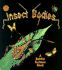 Insect Bodies (World of Insects)