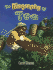 The Biography of Tea (How Did That Get Here? , 14)