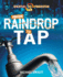 From Raindrop to Tap (Source to Resource)