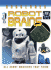 Robot Brains (Robozones, 4)
