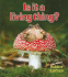 Is It a Living Thing? (Introducing Living Things)