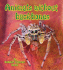 Animals Without Backbones