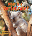 What is a Vertebrate? (Big Science Ideas)