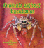Animals Without Backbones (Big Science Ideas (Paperback))