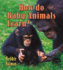 How Do Baby Animals Learn? (It's Fun to Learn About Baby Animals)