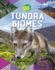 Tundra Biomes (Earth's Natural Biomes)