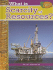 What is Scarcity of Resources? (Economics in Action)