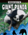 Bringing Back the Giant Panda