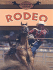 Rodeo (Horsing Around)