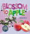 Blossom to Apple (Where Food Comes From)