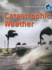 Catastrophic Weather (Protecting Our Planet)