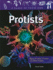 Protists: Algae, Amoebas, Plankton, and Other Protists (a Class of Their Own)