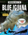 Bringing Back the Blue Iguana (Animals Back From the Brink)