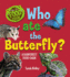 Who Ate the Butterfly? a Rainforest Food Chain: a Rainforest Food Chain