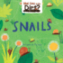 Snails (What Lives in the Dirt? )