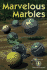 Marvelous Marbles (Cover-to-Cover Chapter Books)