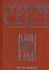 Cytotoxic Cells: Basic Mechanisms and Medical Applications