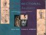 Cross-Sectional Human Anatomy: Human Anatomy