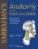 Sarrafian's Anatomy of the Foot and Ankle: Descriptive, Topographic, Functional
