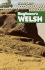 Beginners Welsh (Beginner's)