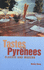 Tastes of the Pyrenees, Classic and Modern