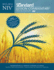 Niv� Standard Lesson Commentary� Deluxe Edition 2013 2014