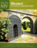 Niv� Standard Lesson Commentary� 2014-2015