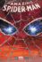 The Amazing Spider-Man 2