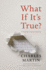 What If It's True? : a Storyteller's Journey With Jesus