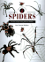 Identifying Spiders: the New Compact Study Guide and Identifier (Identifying Guide Series)