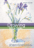 Drawing Tips & Tricks (Artist's Bibles)
