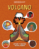 Inside Out Volcano (Inside Out, Chartwell)