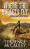 Where the Bullets Fly (a Sheriff Aaron Mackey Western)