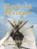 Spirit Rider