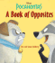 Disney's Pocahontas (Golden Books)