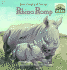 Rhino Romp (Disney's Animal Kingdom)