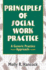 Principles of Social Work Practice (Haworth Social Work Practice)