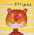 Silly Shapes Stripes ( the Silly Shapes Series)