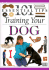 Training Your Dog (101 Essential Tips)