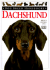 Dog Breed Handbooks: Dachshund