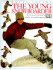 The Young Snowboarder (Young Enthusiast)