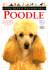Dog Breed Handbooks: Poodle