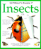 What's Inside? Insects