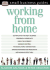 Working From Home (Small Business Guides)