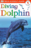 Diving Dolphin (Dk Readers, Level 1: Beginning to Read)