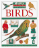 Birds (How to Look After Your Pet)