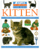 Kitten (Aspca Pet Care Guide)