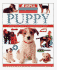 Puppy (How to Look After Your Pet)